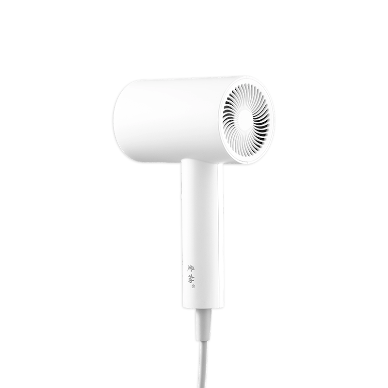 AU705 1800W Pro-Ionic Foedus Foldable Hair Dryer